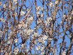 Photo DSC01175.JPG